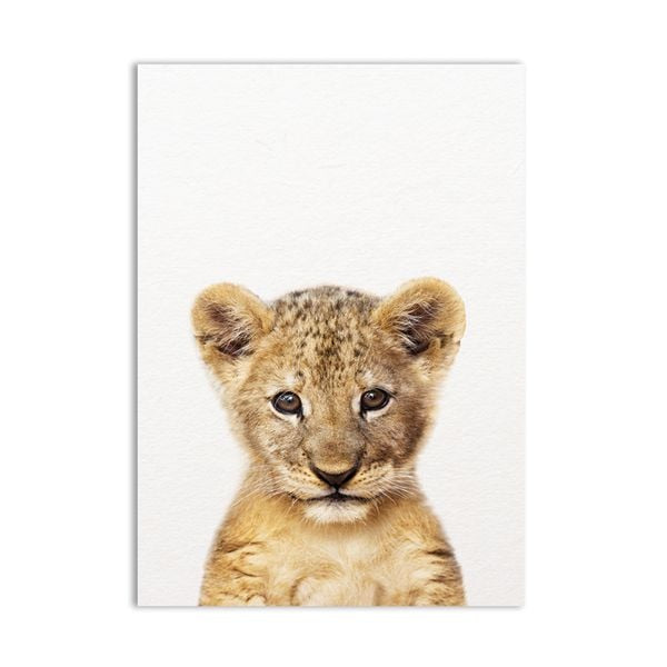 Baby Animals Wall Decor Art Prints