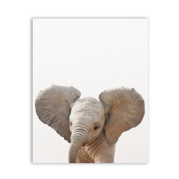 Baby Animals Wall Decor Art Prints