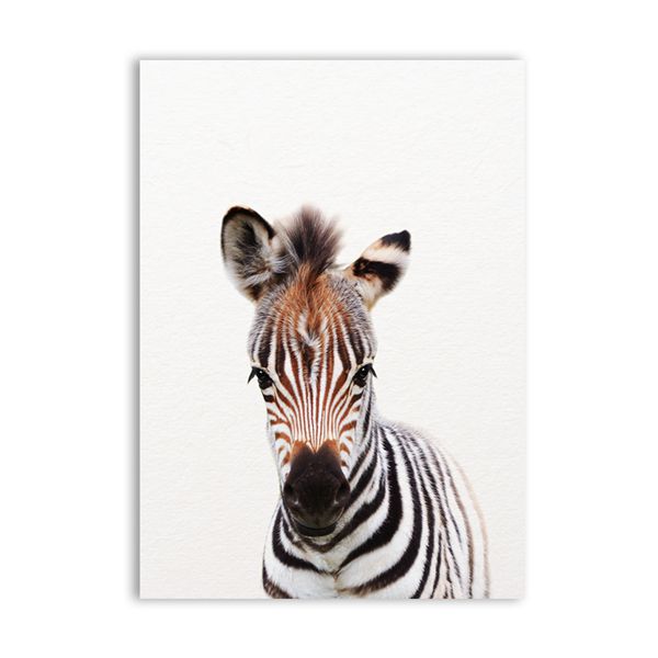 Baby Animals Wall Decor Art Prints