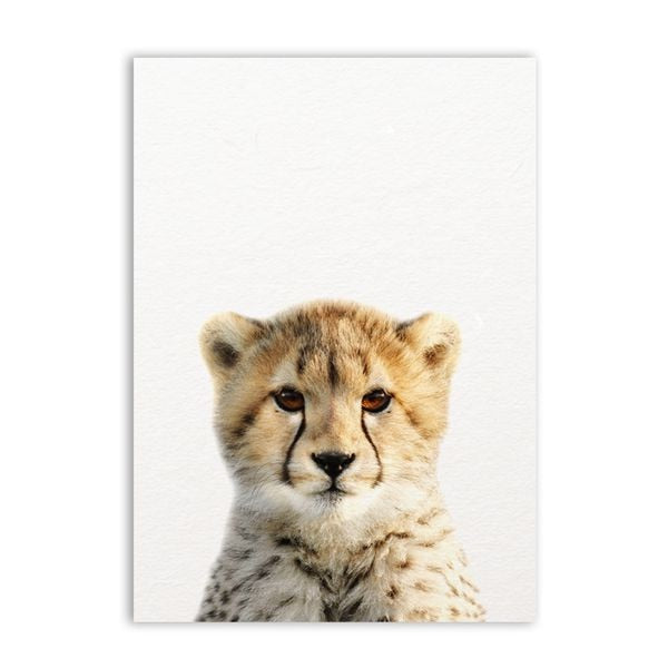 Baby Animals Wall Decor Art Prints