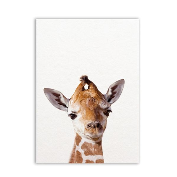 Baby Animals Wall Decor Art Prints