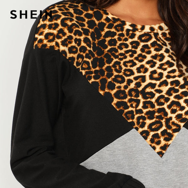 Colorblock Leopard Raglan Pullover Sweatshirt