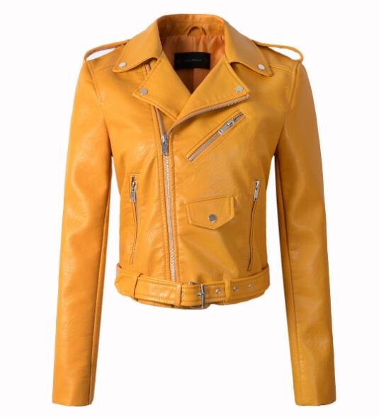 Motorcycle Jacket